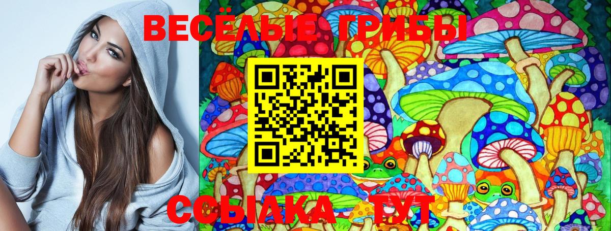 Сорочинск  Галлюциногенные грибы MAGIC MUSHROOMS  Вход с VPN 